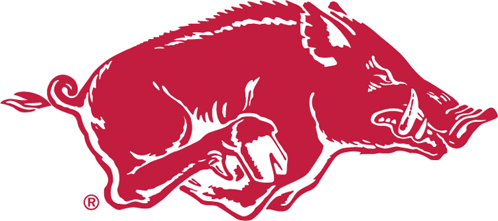 Arkansas Razorbacks 1967-2000 Alternate Logo diy fabric transfer